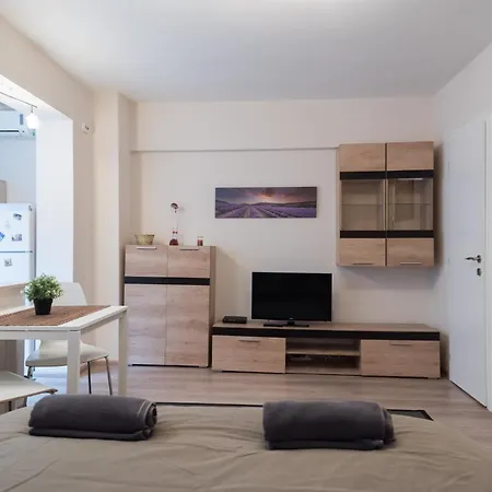 Apartment Brezoianu Street Studio Bukarest