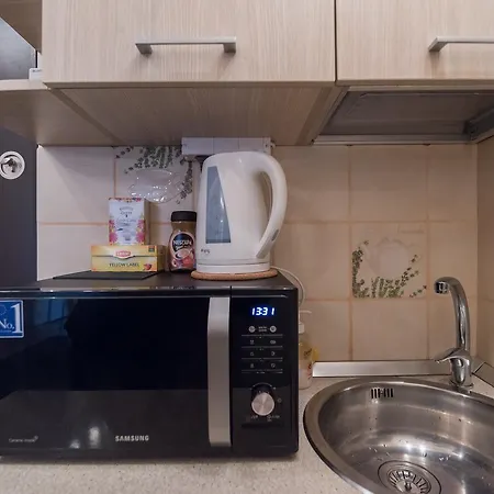 Brezoianu Street Studio Apartment