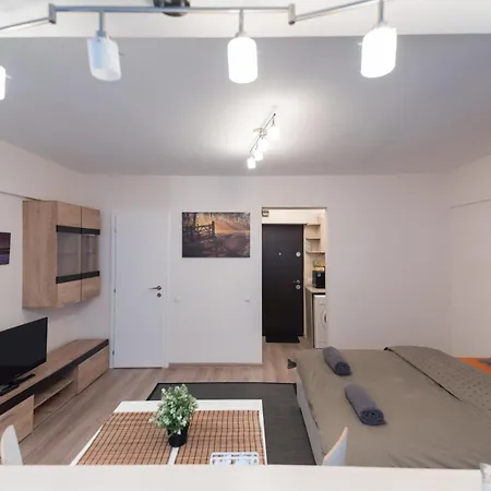 Brezoianu Street Studio * Bukarest