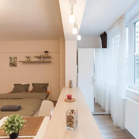 Brezoianu Street Studio Apartment Bukarest