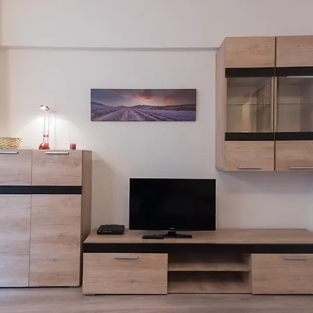 Brezoianu Street Studio *