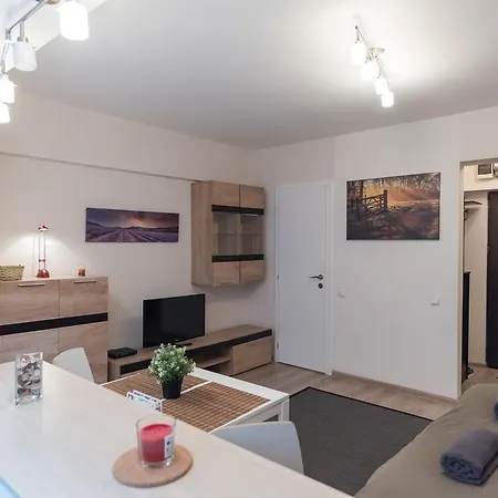 Brezoianu Street Studio Apartment *